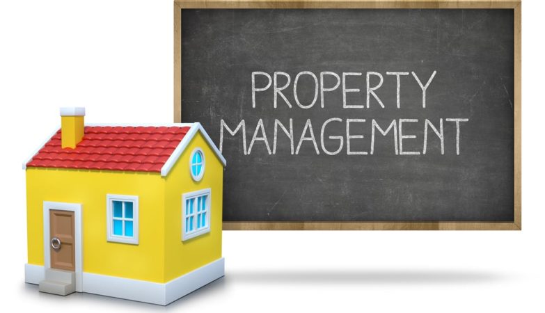 Your Property's Best Friend: Professional Management Services