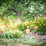 Transform Your Garden: My Personal Take on Organic Gardening Supplies