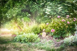 Transform Your Garden: My Personal Take on Organic Gardening Supplies
