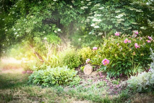 Transform Your Garden: My Personal Take on Organic Gardening Supplies